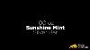 Grab Your Sunshine 100 Oz Sunshine Mint Silver Bar